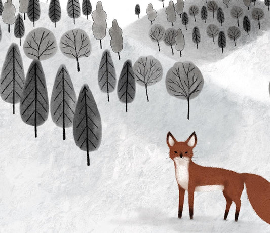 Volpi nella neve